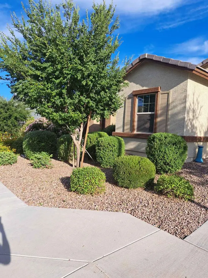 A suburban house with tan walls and brown shutters is surrounded by neatly trimmed bushes, a tree, and stylish artificial turf. The landscaping features small hedges and a gravel yard. The sky is clear and blue, perfect for enjoying the Scottsdale sunshine.